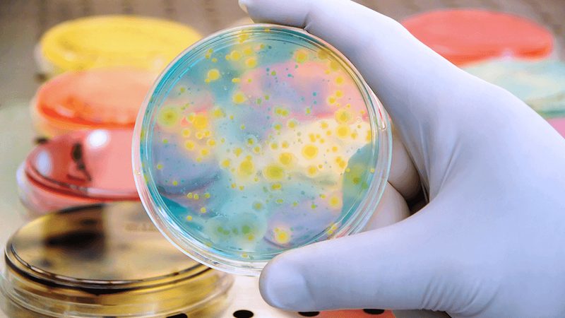 广州生物科技定制服务：揭秘定制化研发的奥秘**