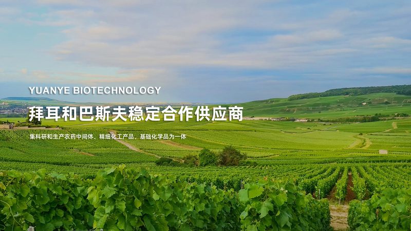 无血清培养基：生物科技研发的“生命之源