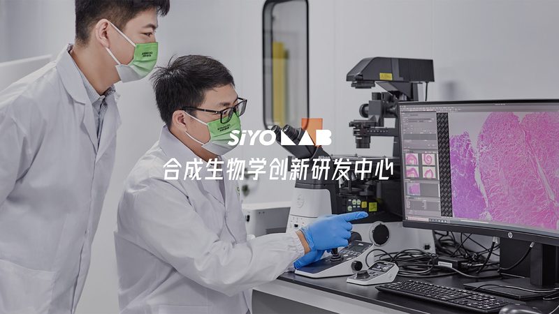 CDMO不是“外包代工”那么简单