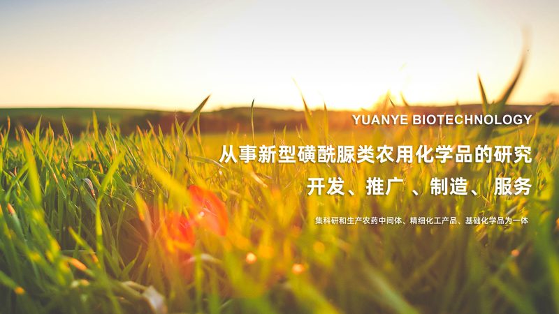 成都生物医药外包报价单：揭秘生物医药外包服务的价格构成