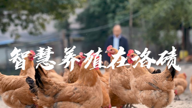 生物类似药CDMO开发总费用：揭秘成本构成与影响因素