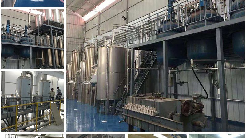 全外显子组测序：揭开基因奥秘的精准利器，价格几何？**