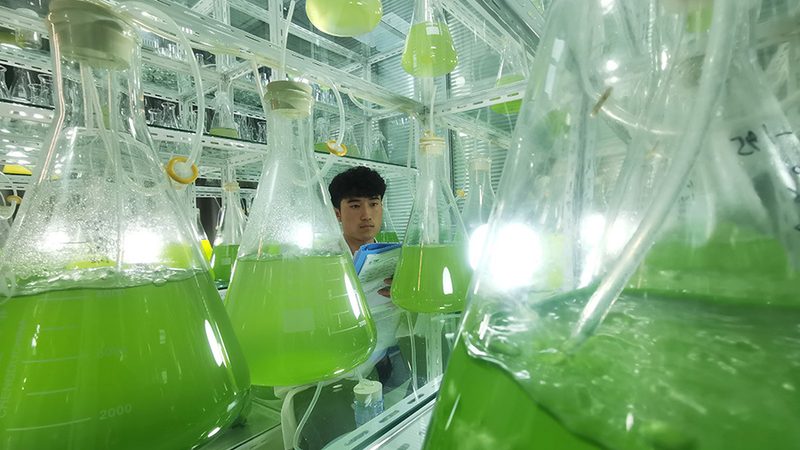 CDMO报价单模板：解码背后的行业逻辑